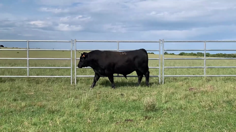 Lote "El Gualicho", RP 6580