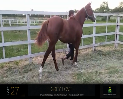 Lote GREY LOVE