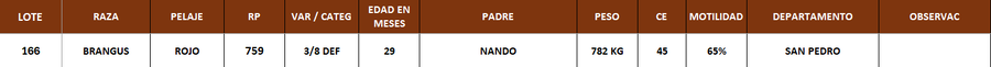 Lote LOTE 166