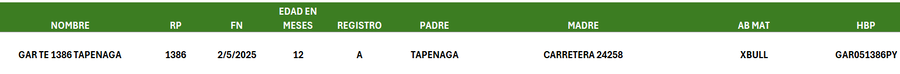 Lote LOTE 11