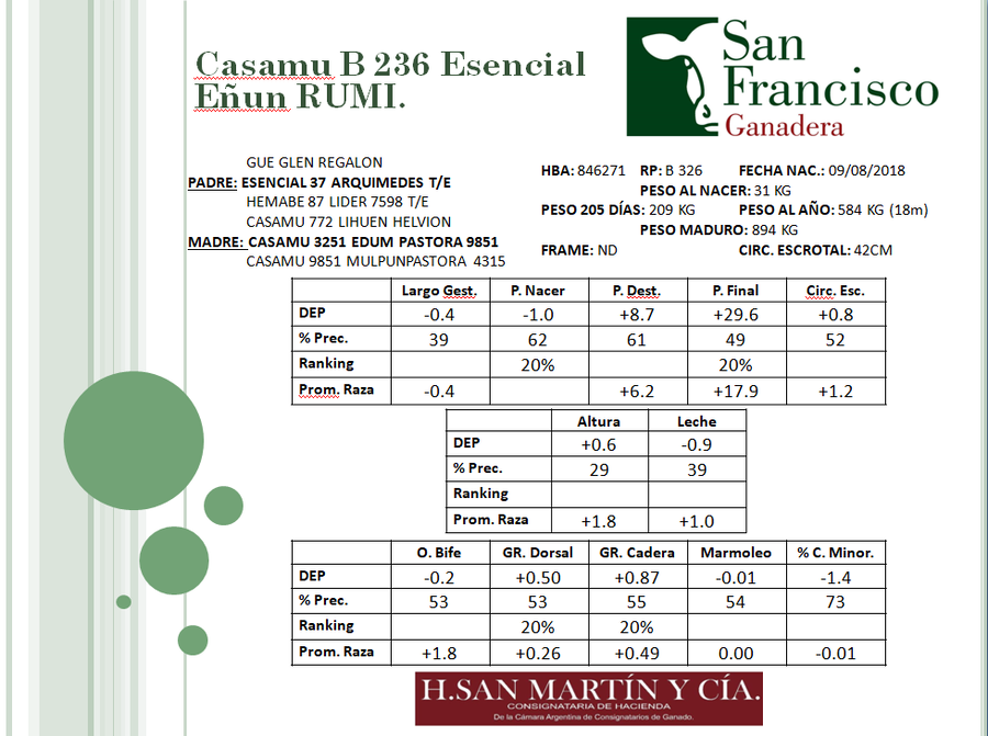 Lote 5 Vaquillonas Angus MaS con garantía de preñez, al parir. San Francisco