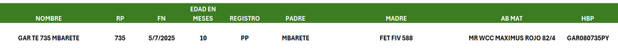 Lote LOTE 16