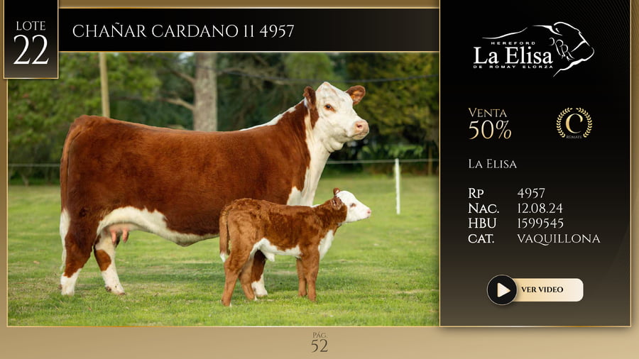 Lote CHAÑAR CARDANO II 4957