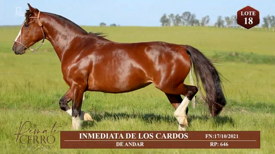 Lote INMEDIATA DE LOS CARDOS