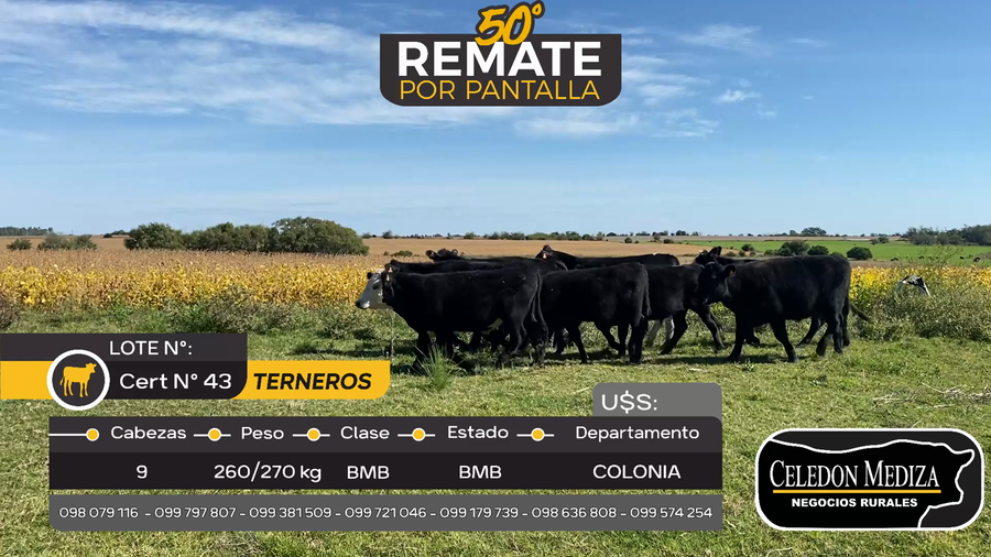 Lote 9 Terneros en Puntas de Arenales, Colonia
