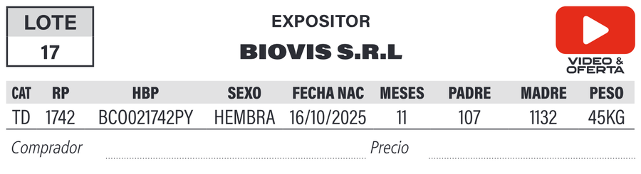 Lote LOTE 17