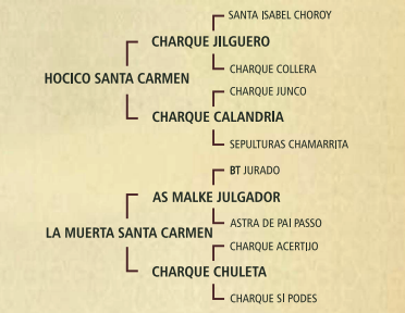 Lote Republica Santa Carmen