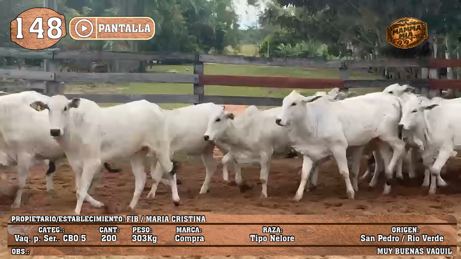 Lote LOTE 148 - PANTALLA