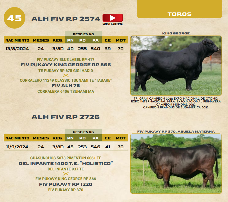 Lote LOTE 45