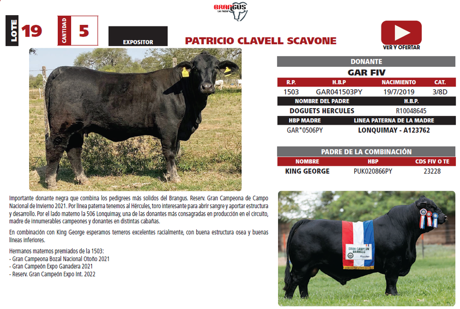 Lote LOTE 19