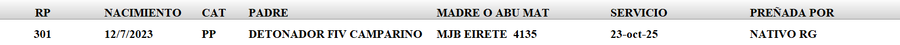 Lote LOTE 5