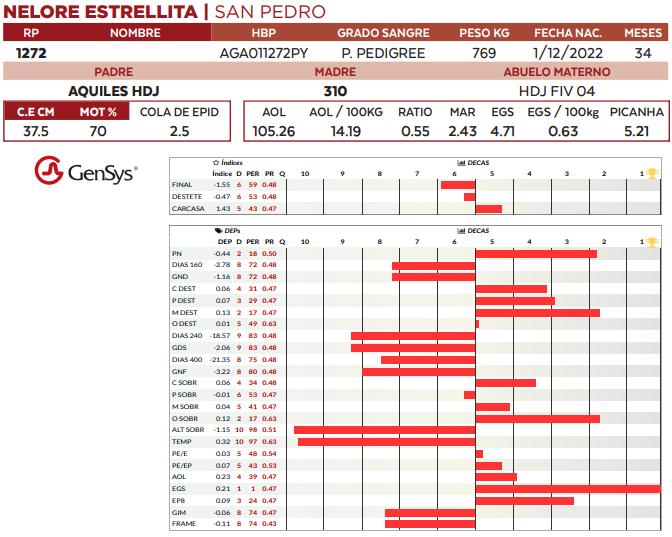 Lote LOTE 53