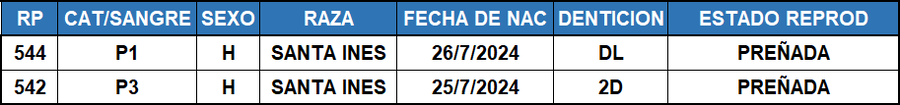 Lote LOTE 1