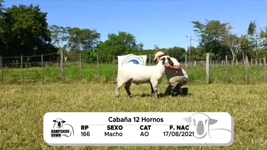 Lote LOTE 7 BOZAL - RP 166