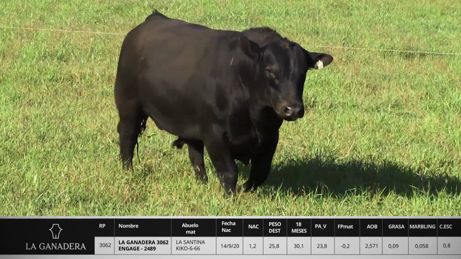 Lote LA GANADERA 3062 ENGAGE - 2489