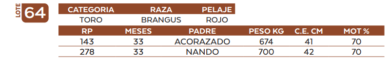 Lote LOTE 64