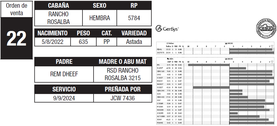 Lote LOTE 22