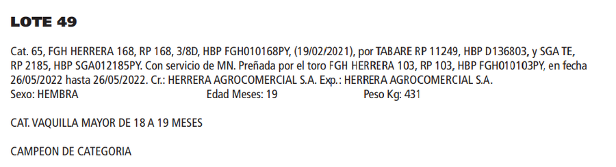Lote LOTE 49