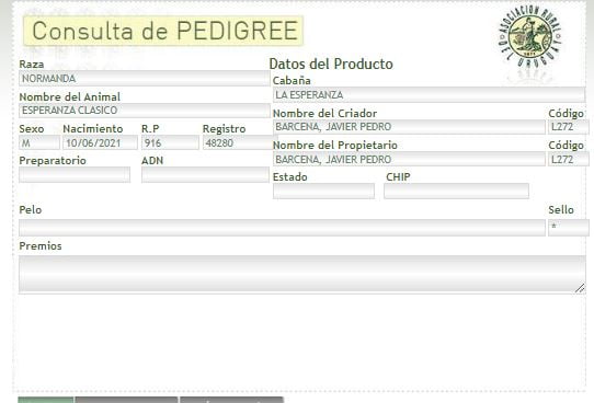 Lote TORO PI - RP 916