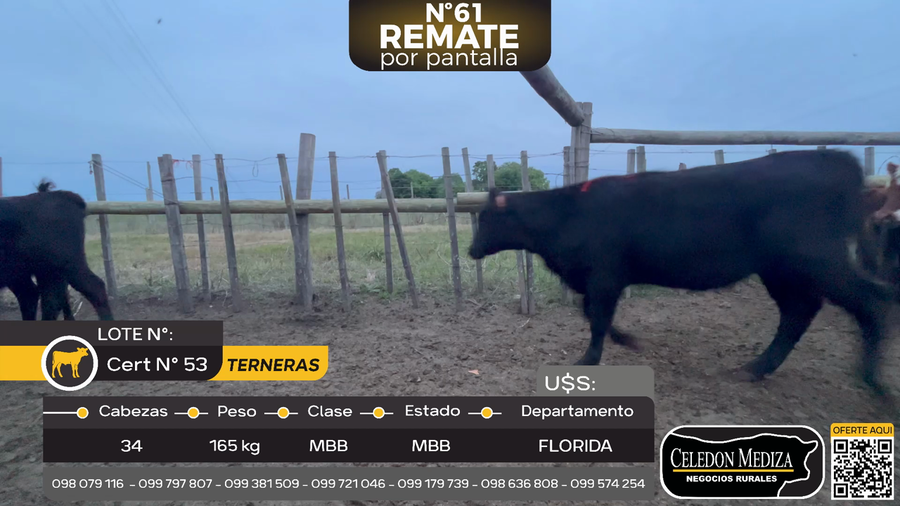 Lote 34 Terneras en Piedras Coloradas, Florida