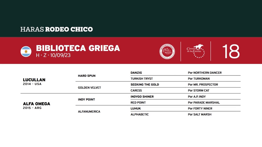 Lote BIBLIOTECA GRIEGA