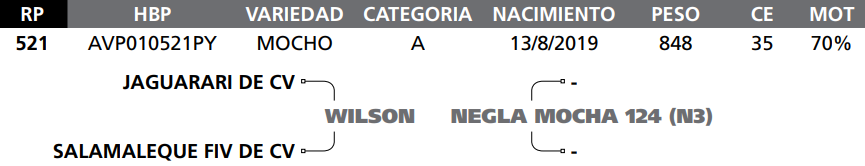 Lote LOTE 14 - RP 521