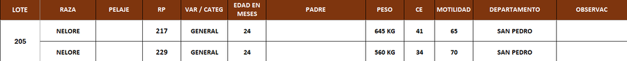 Lote LOTE 205