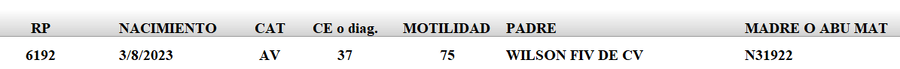 Lote LOTE 61