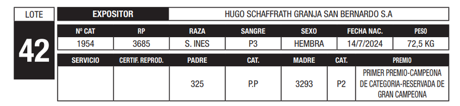 Lote LOTE 42