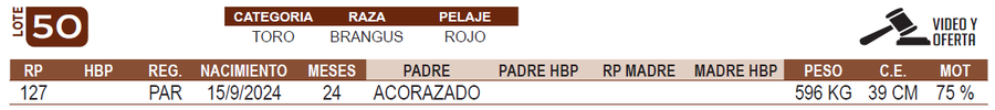 Lote LOTE 50
