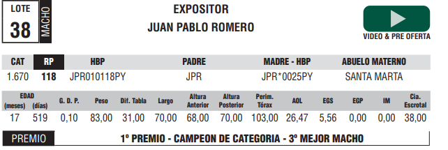 Lote LOTE 38