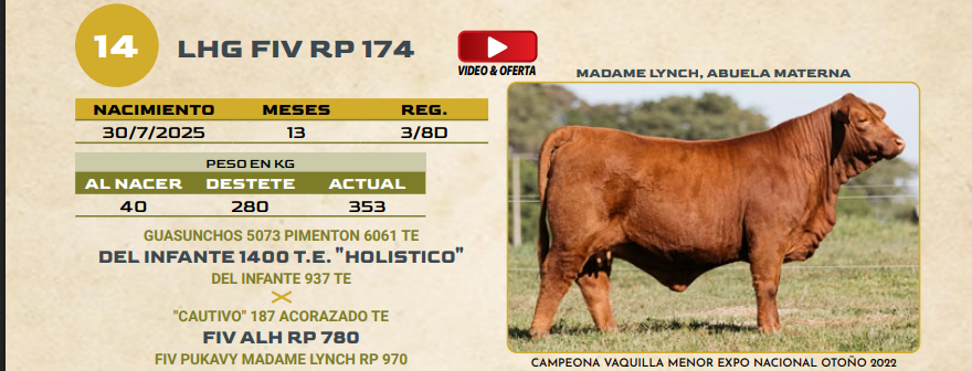 Lote LOTE 14