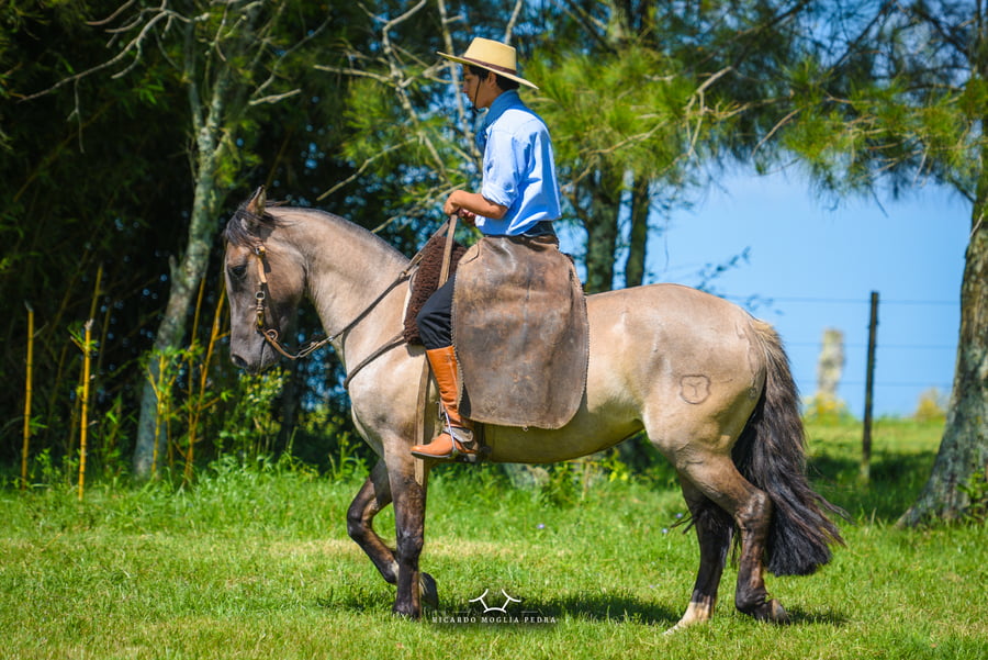 Lote El Gavilán Monjita (RP 406) Cabaña "El Gavilán"