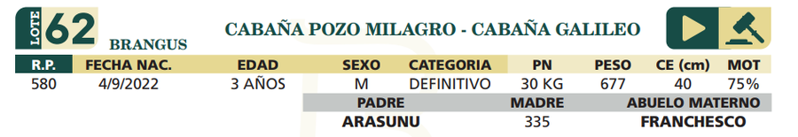 Lote LOTE 62