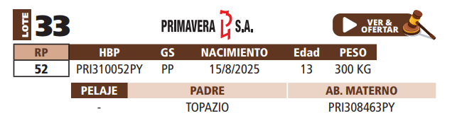 Lote LOTE 33