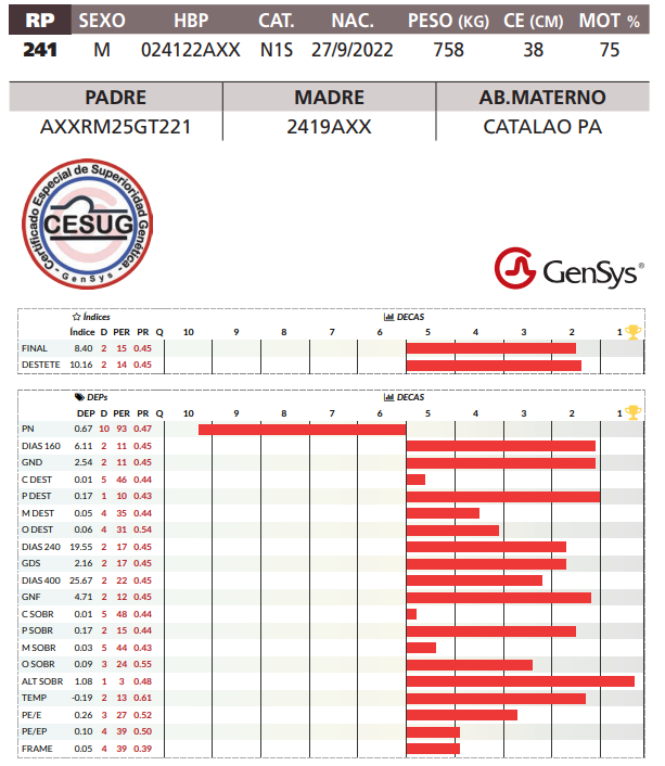 Lote LOTE 38