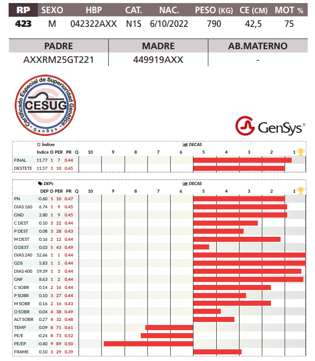 Lote LOTE 42
