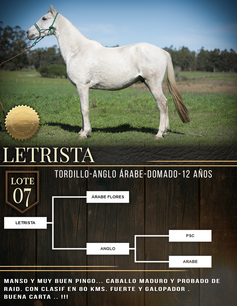 Lote LETRISTA