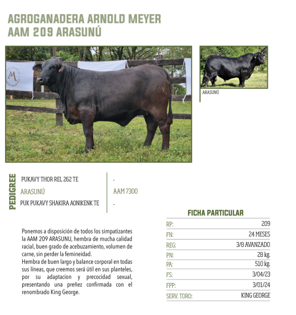 Lote LOTE 20