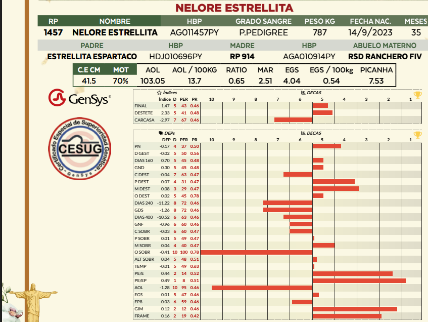 Lote LOTE 25