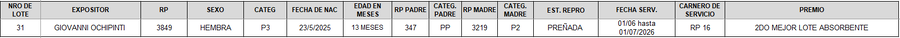 Lote LOTE 31 - CAMPO