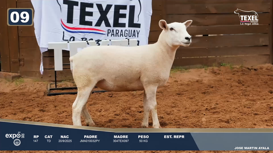 Lote LOTE 9