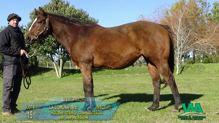 Lote LA CORUÑA (Brz)