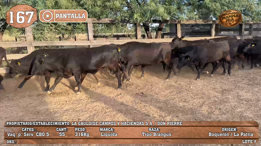 Lote LOTE 167 - PANTALLA