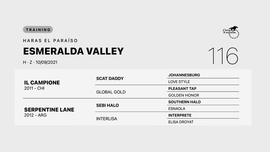 Lote ESMERALDA VALLEY