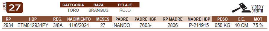 Lote LOTE 27