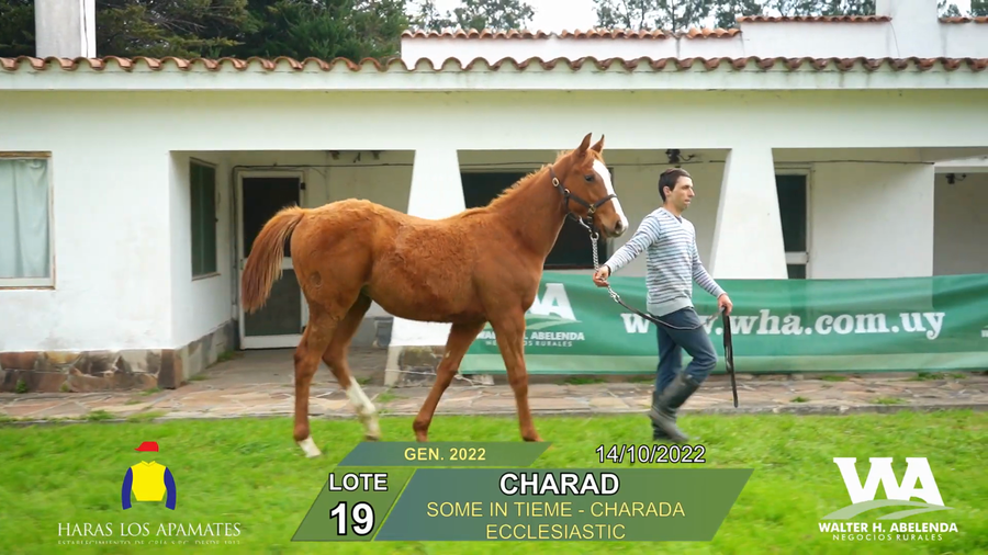 Lote CHARAD