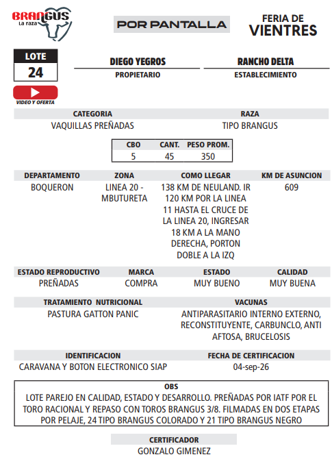Lote LOTE 24 - POR PANTALLA