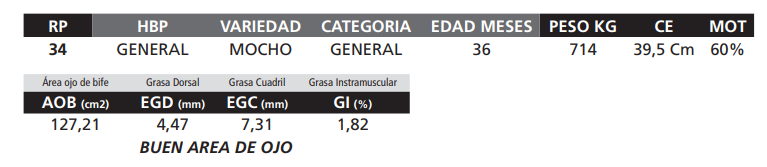 Lote LOTE 24