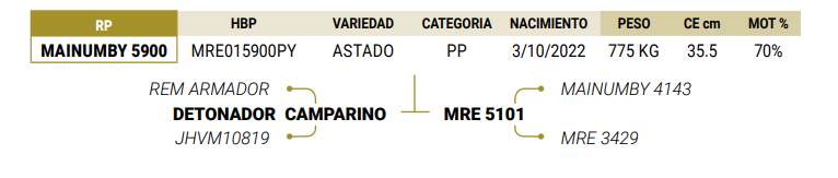 Lote LOTE 12